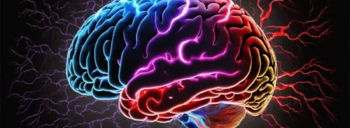 Die faszinierende Welt des Gehirns: Eine Einführung in die kognitiven Neurowissenschaften